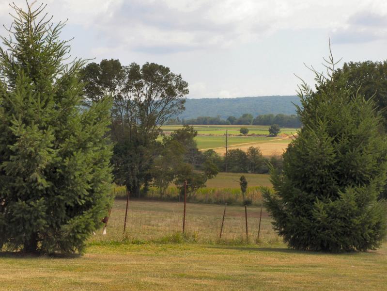 Viewing Image 15