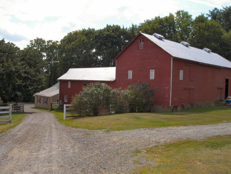 Viewing Image 16
