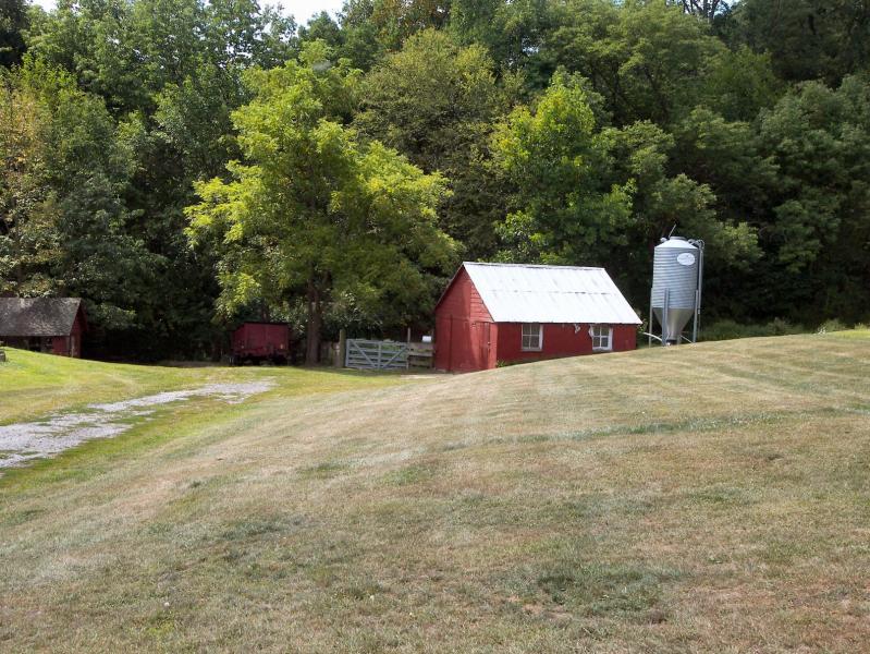 Viewing Image 17