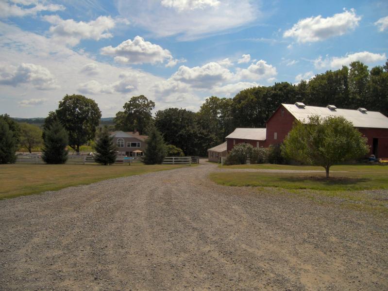 Viewing Image 18