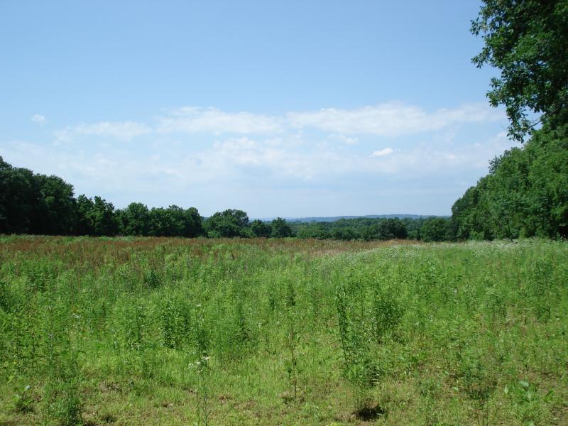 Land for Sale, ListingId:16310147, location: 0 STILL VALLEY RD Phillipsburg 08865