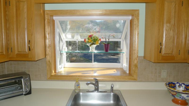 Viewing Image 6