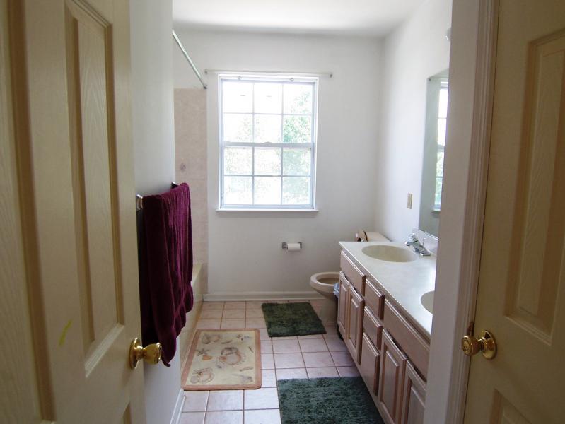Viewing Image 11
