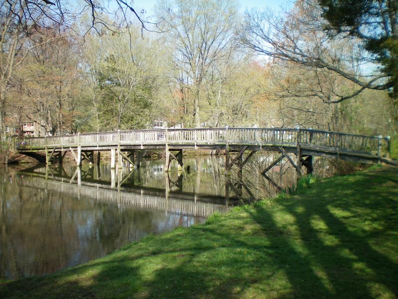 Viewing Image 11
