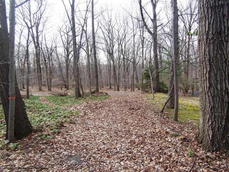 Real Estate for Sale, ListingId:17989523, location: 111 KNOLLWOOD DR Watchung 07069