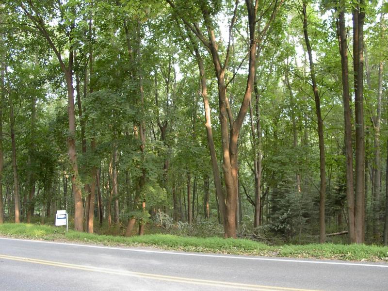 Real Estate for Sale, ListingId:17258037, location: 60 ACADEMY ST Califon 07830
