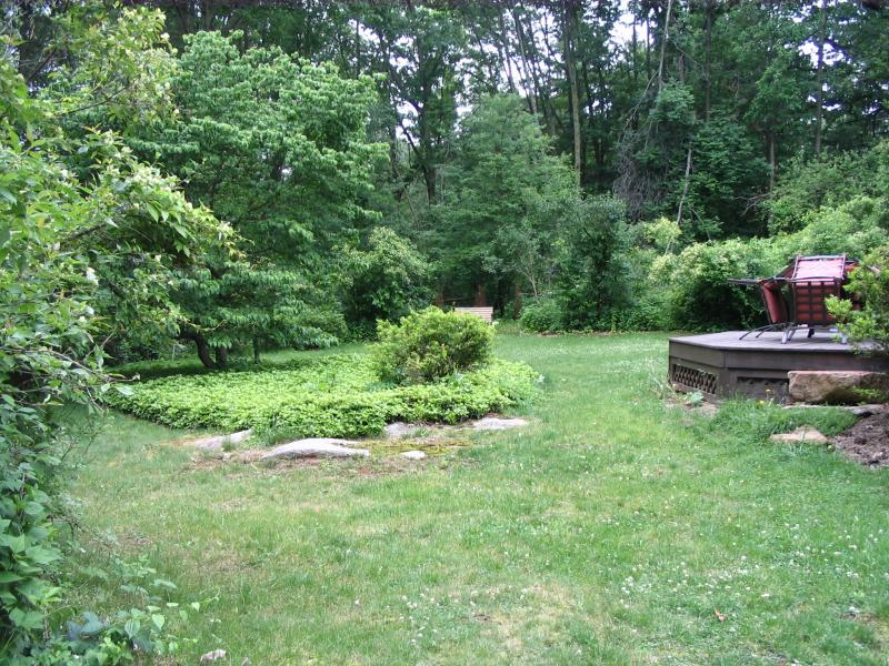 Viewing Image 11