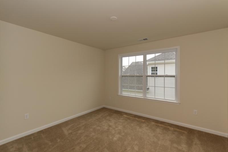 Viewing Image 11