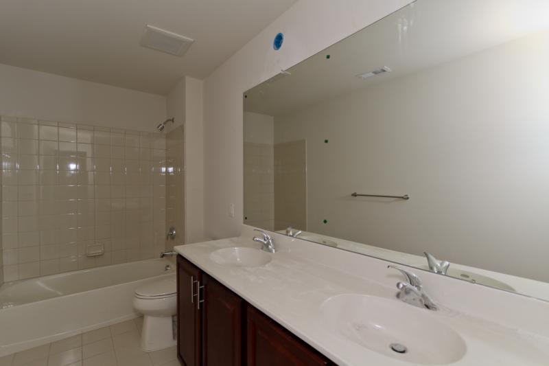 Viewing Image 12