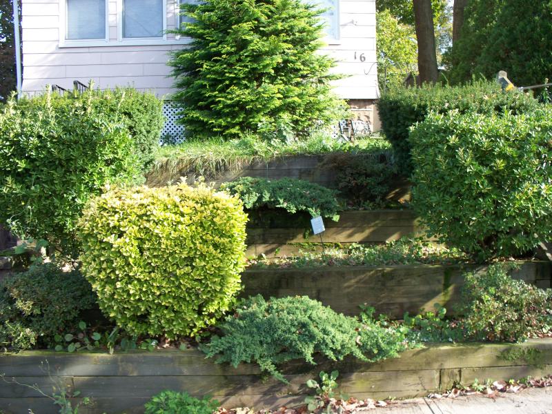 Viewing Image 13