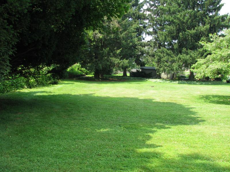 Viewing Image 5