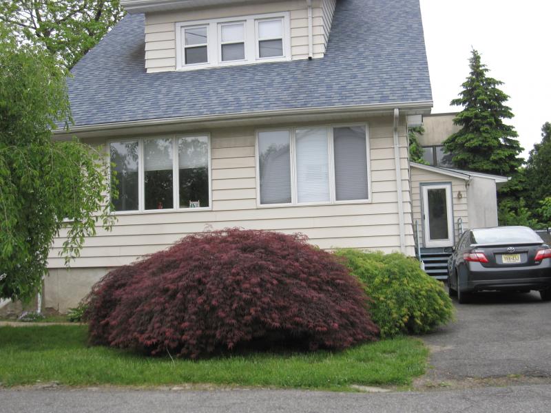 Viewing Image 8