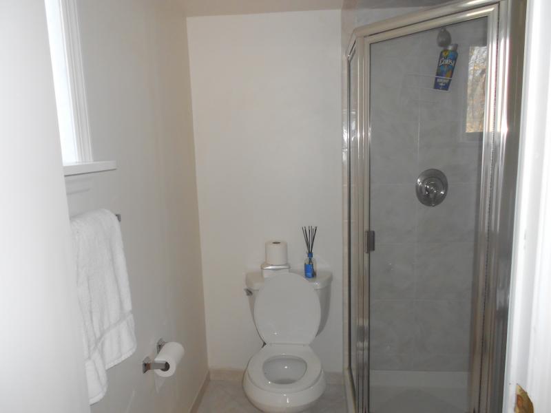 Viewing Image 15