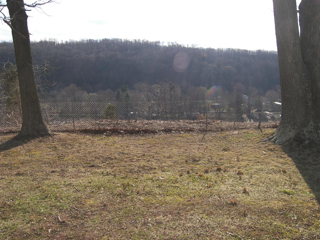 Viewing Image 7