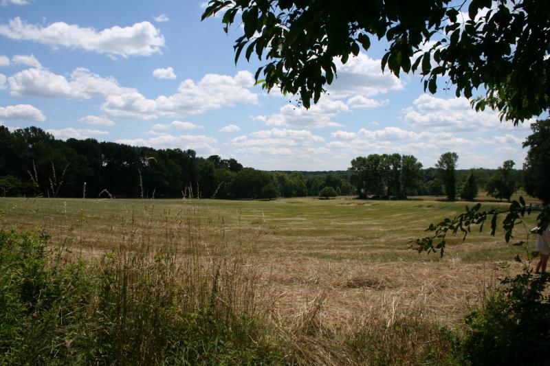 Viewing Image 2