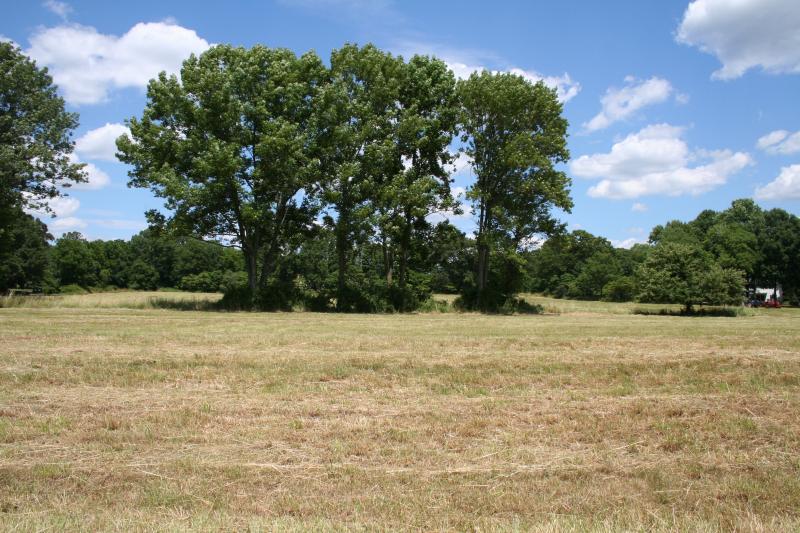 Viewing Image 4