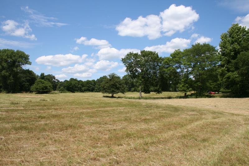 Viewing Image 5