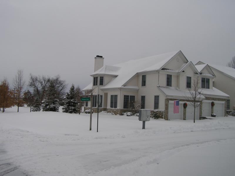 Viewing Image 16