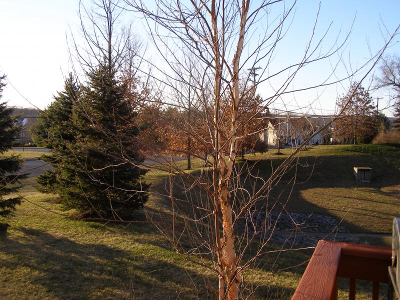 Viewing Image 20