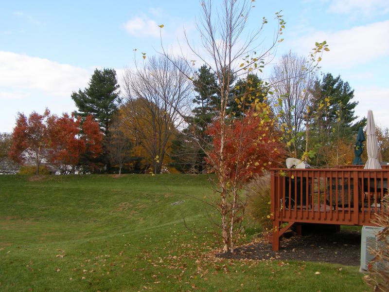 Viewing Image 8