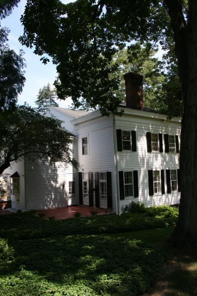 Viewing Image 11
