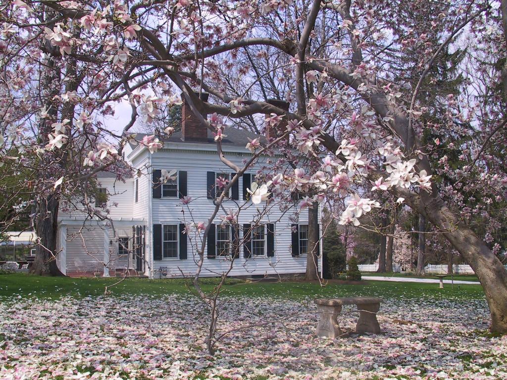 Viewing Image 8
