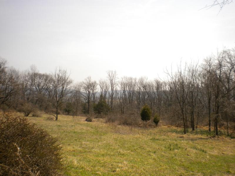 Land for Sale, ListingId:17494214, location: Washington 07882