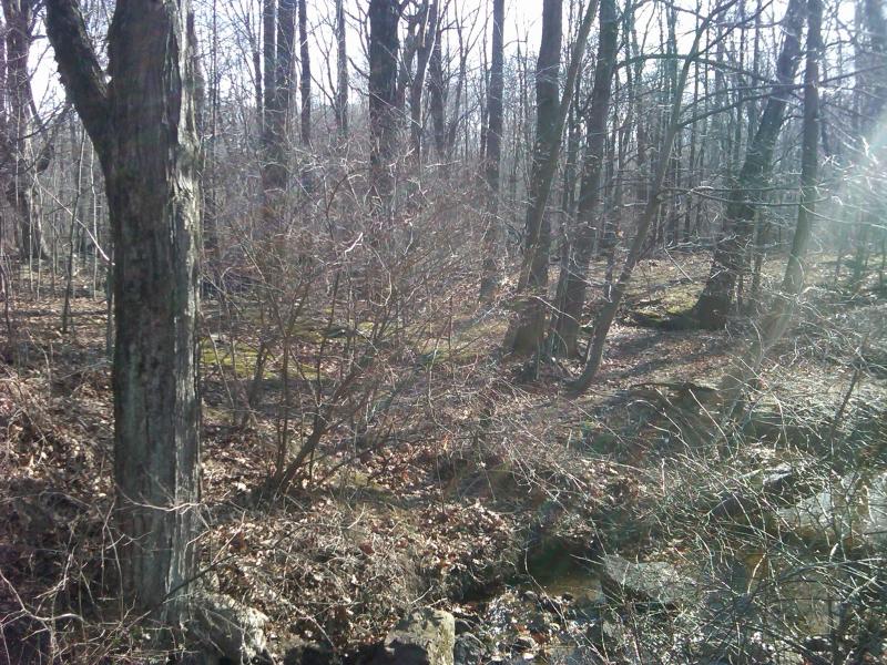 Land for Sale, ListingId:17816053, location: 0 FLOCKTOWN RD Washington Township 07675