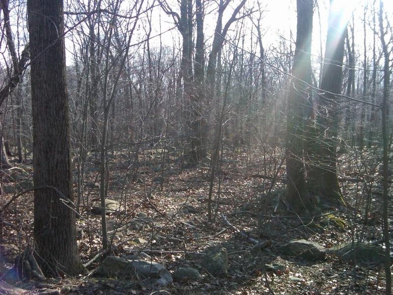 Viewing Image 3