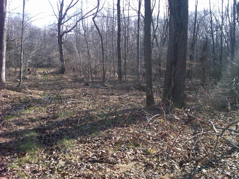 Viewing Image 5