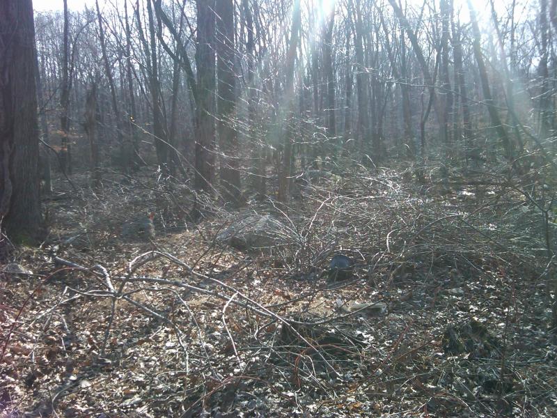 Viewing Image 6