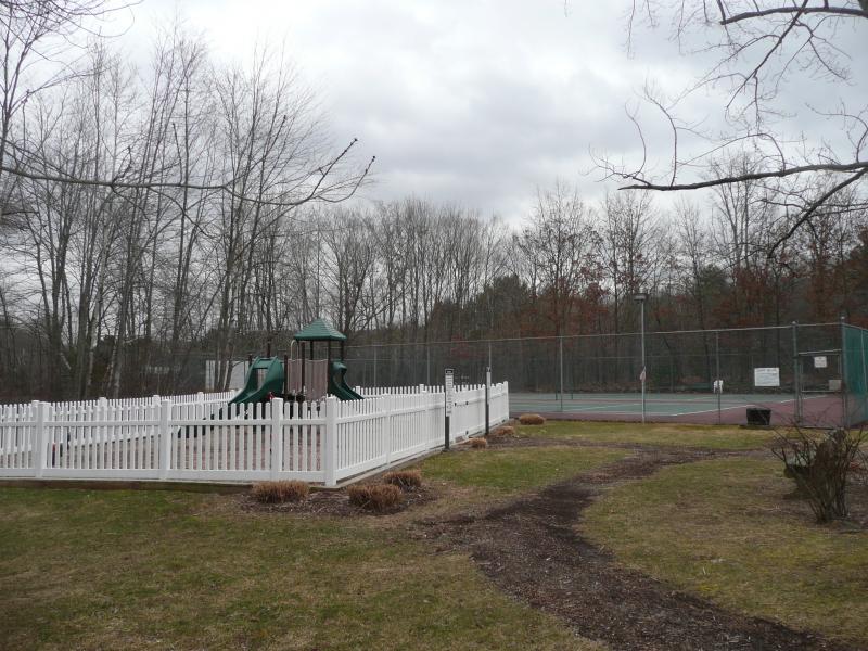 Viewing Image 11