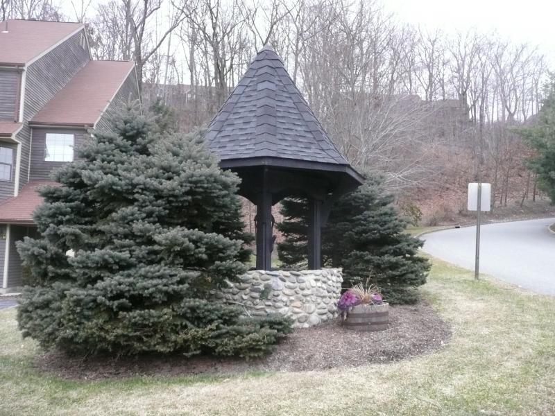 Viewing Image 13