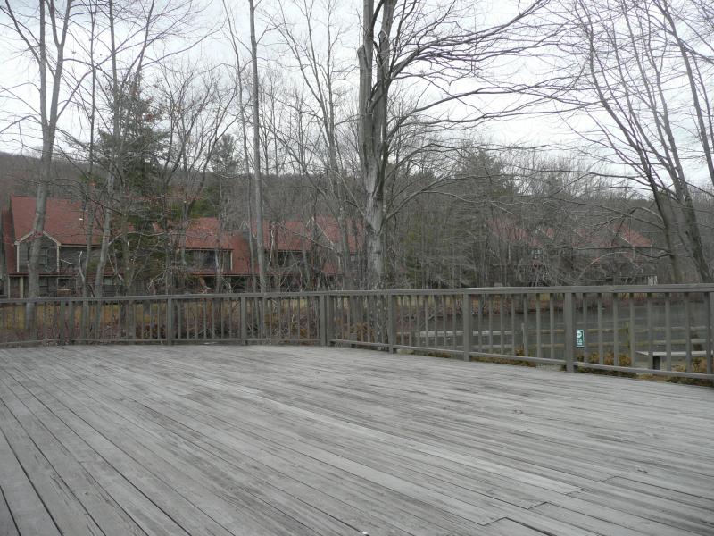 Viewing Image 14