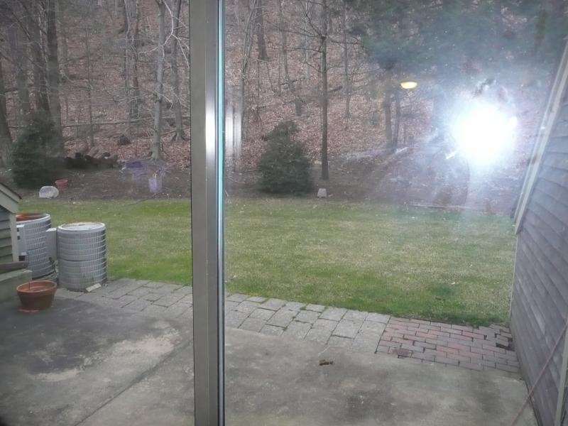 Viewing Image 6