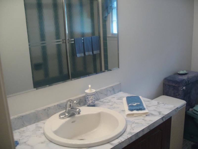 Viewing Image 13
