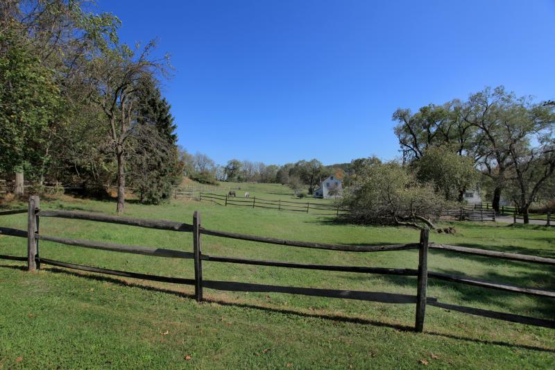 Viewing Image 15