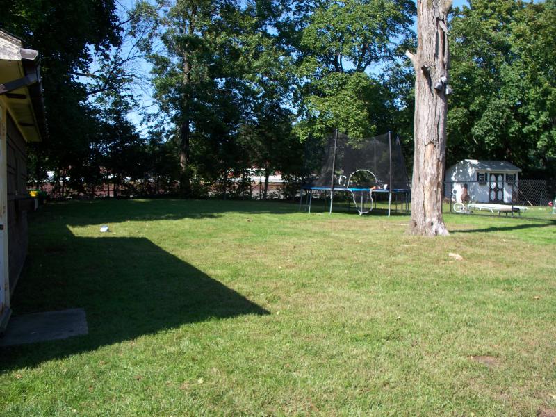 Viewing Image 4