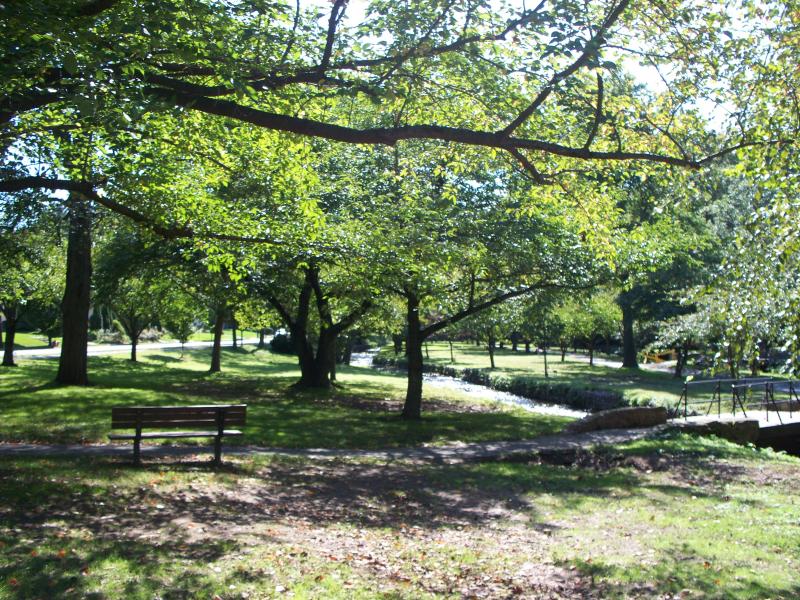 Viewing Image 8