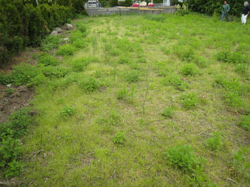Land for Sale, ListingId:17618448, location: 18 JACOB ST Bloomfield 07003