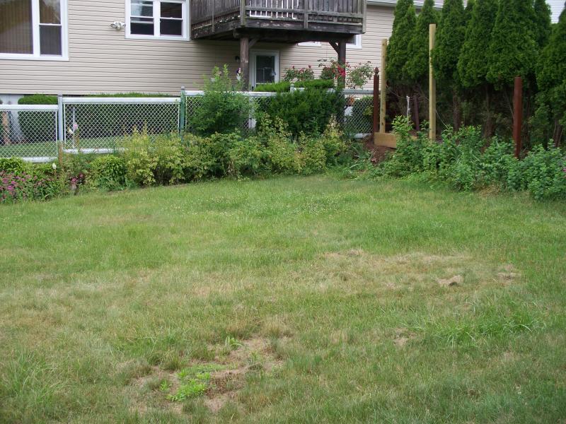 Viewing Image 9