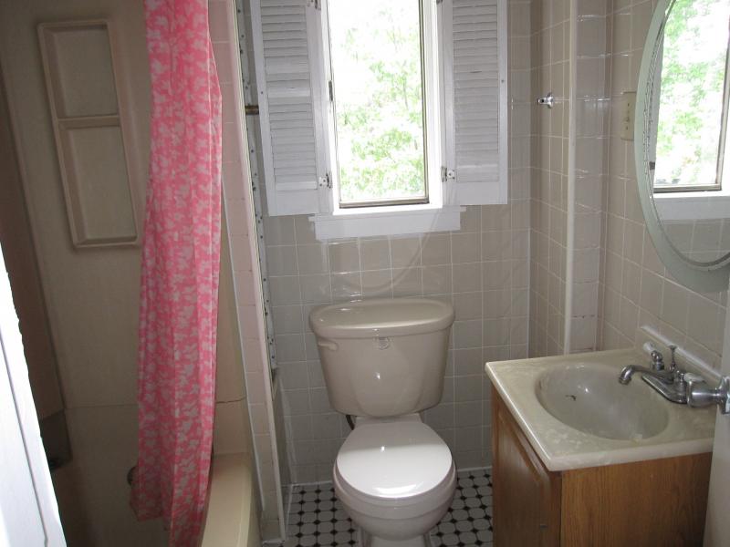 Viewing Image 15