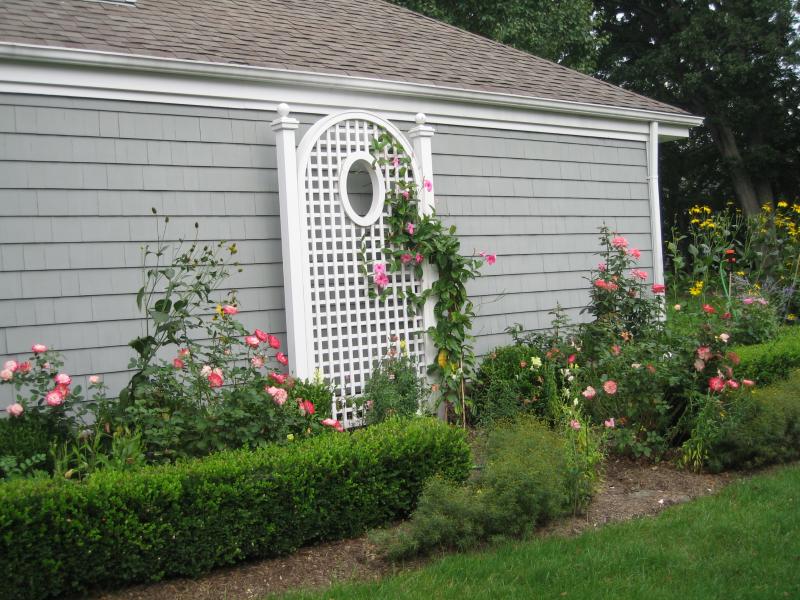 Viewing Image 13