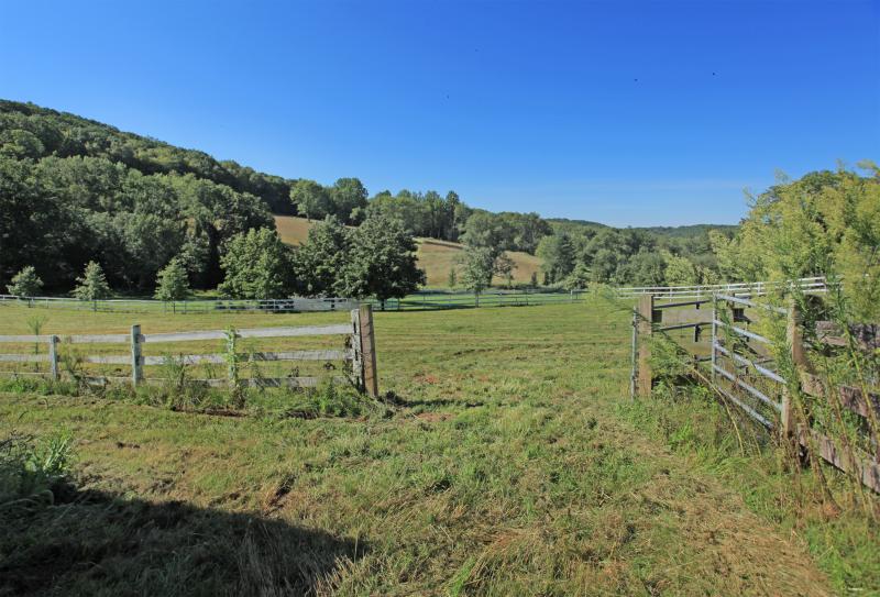Viewing Image 12