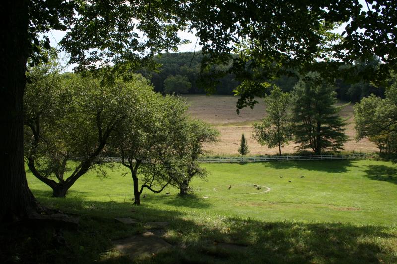 Viewing Image 18