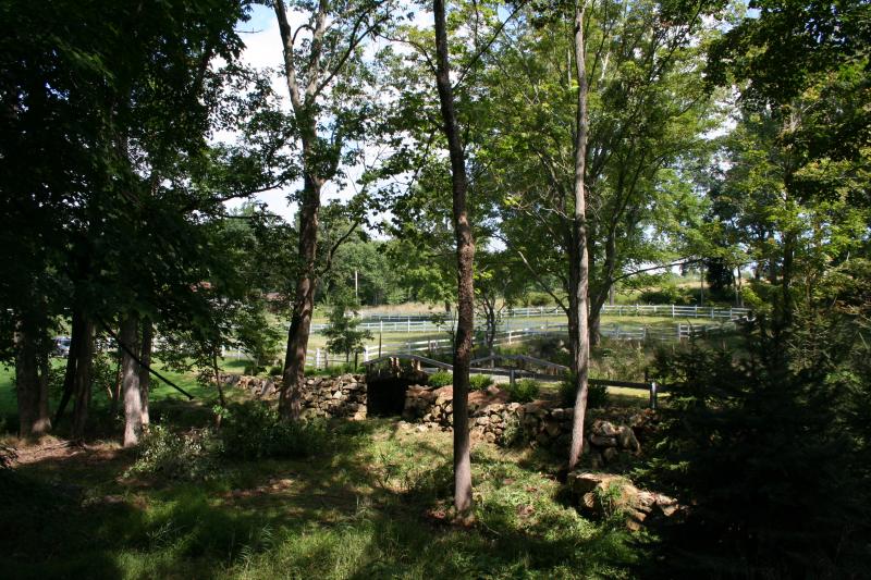 Viewing Image 19