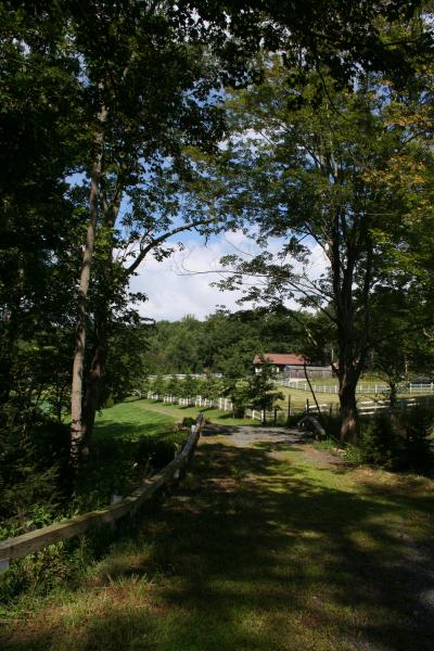 Viewing Image 20