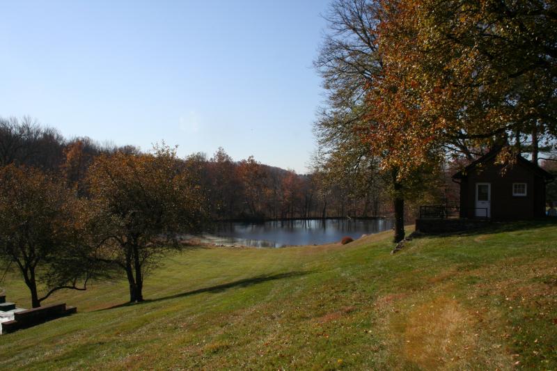 Viewing Image 4