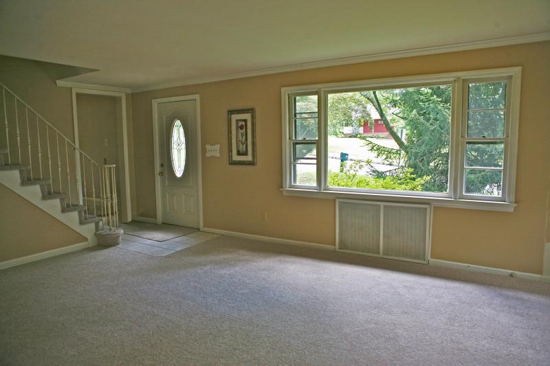 Viewing Image 11