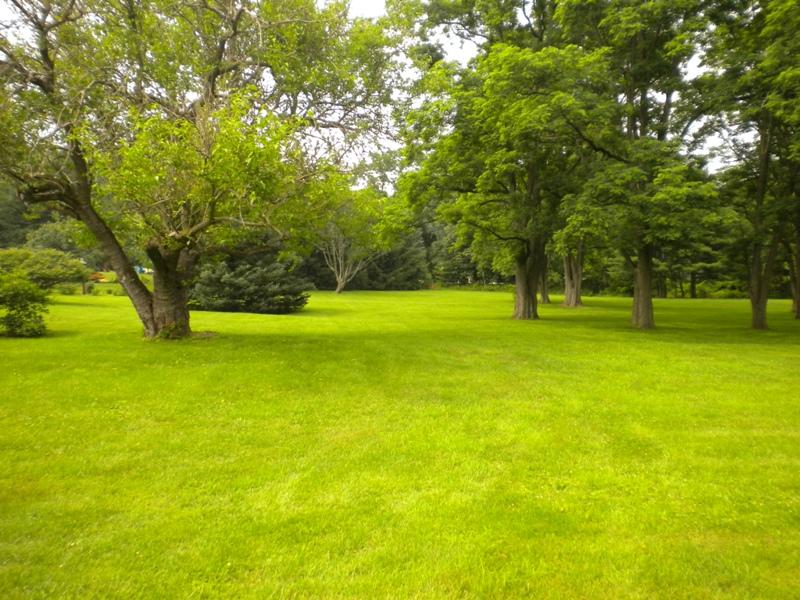 Viewing Image 11